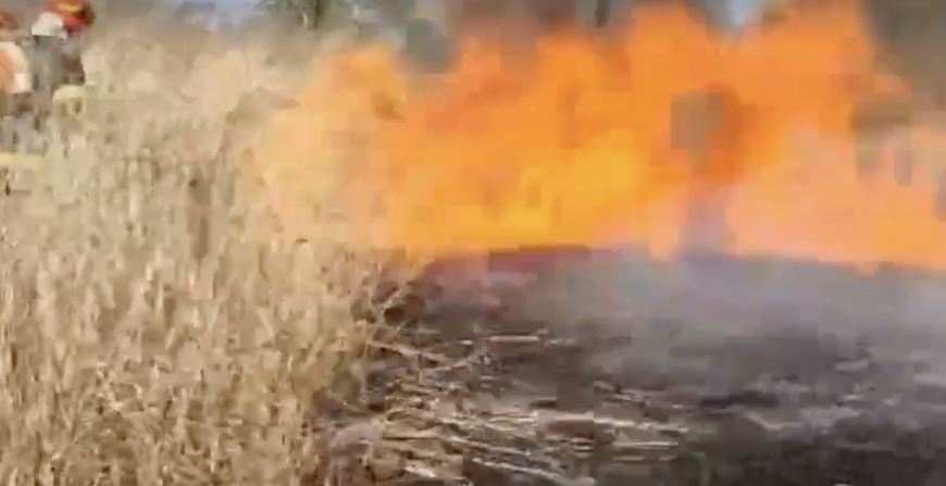 Incendiu de vegetație pe 5000 de metri pătrați, la Ionești, în comuna Petrești
